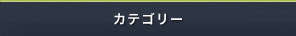 カテゴリー