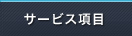 サービス項目